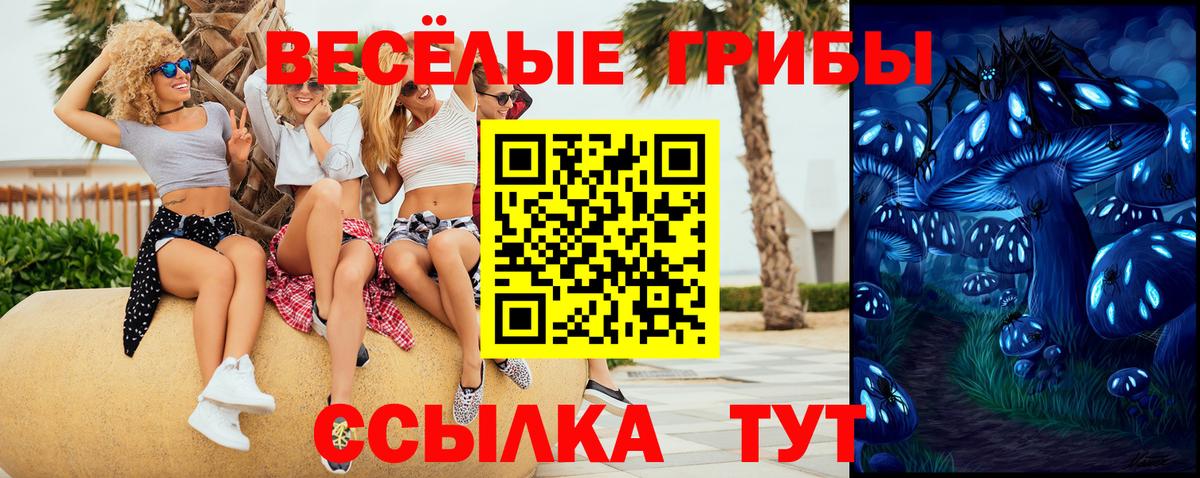 Галлюциногенные грибы мицелий Свободный