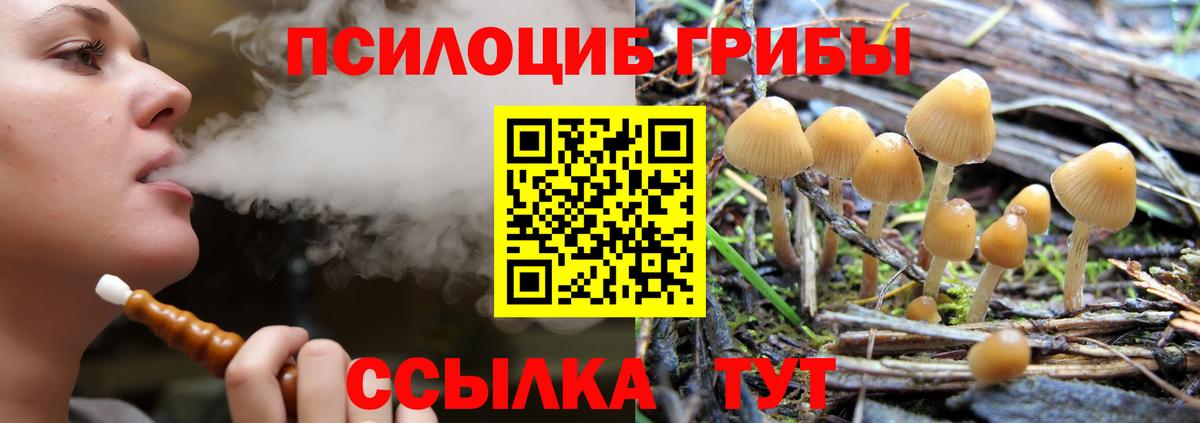 Свободный  Галлюциногенные грибы мухоморы  Вход с VPN 