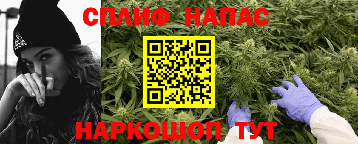 Бошки марихуана White Widow Свободный